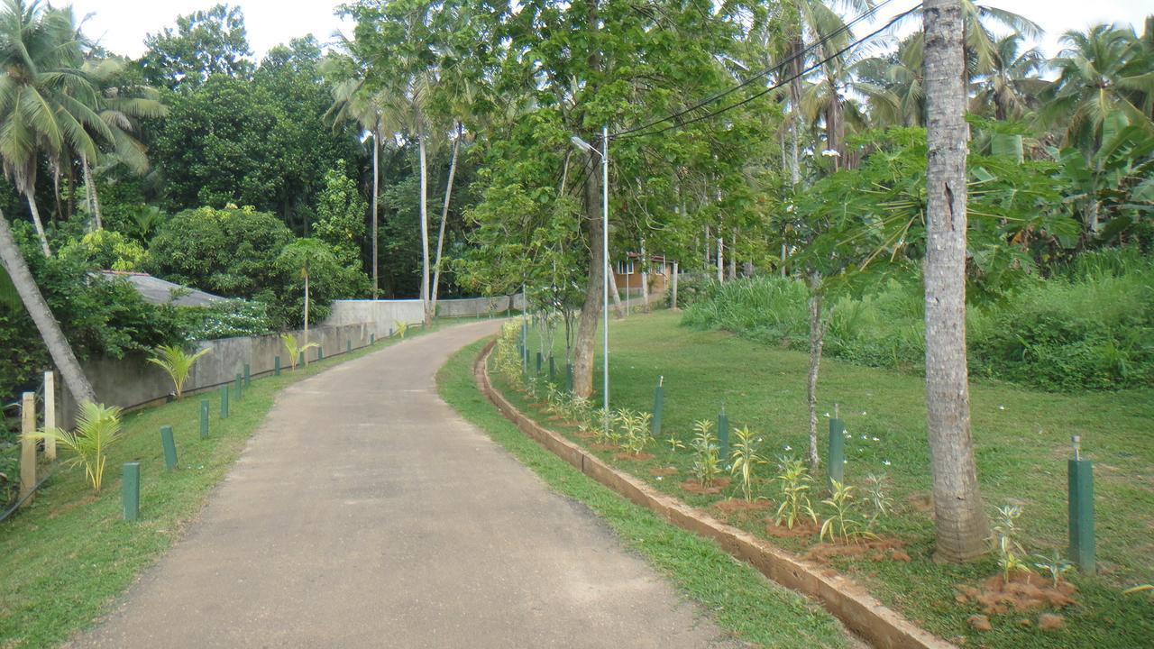 Ma Oya Retreat Pinnawala Pinnawala (Kegalle) Exterior photo