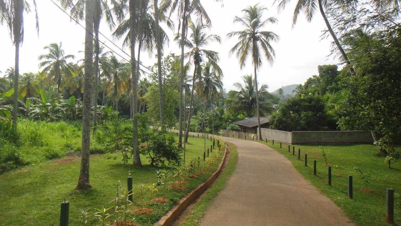 Ma Oya Retreat Pinnawala Pinnawala (Kegalle) Exterior photo
