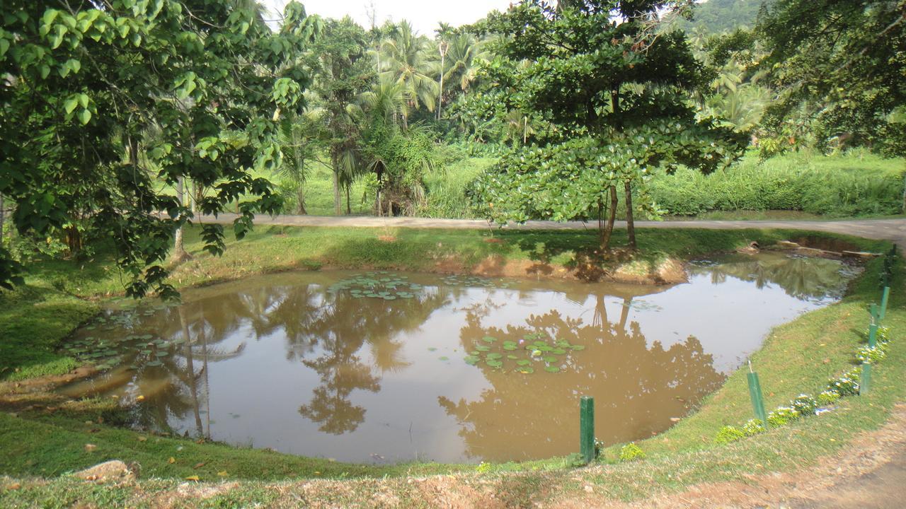 Ma Oya Retreat Pinnawala Pinnawala (Kegalle) Exterior photo